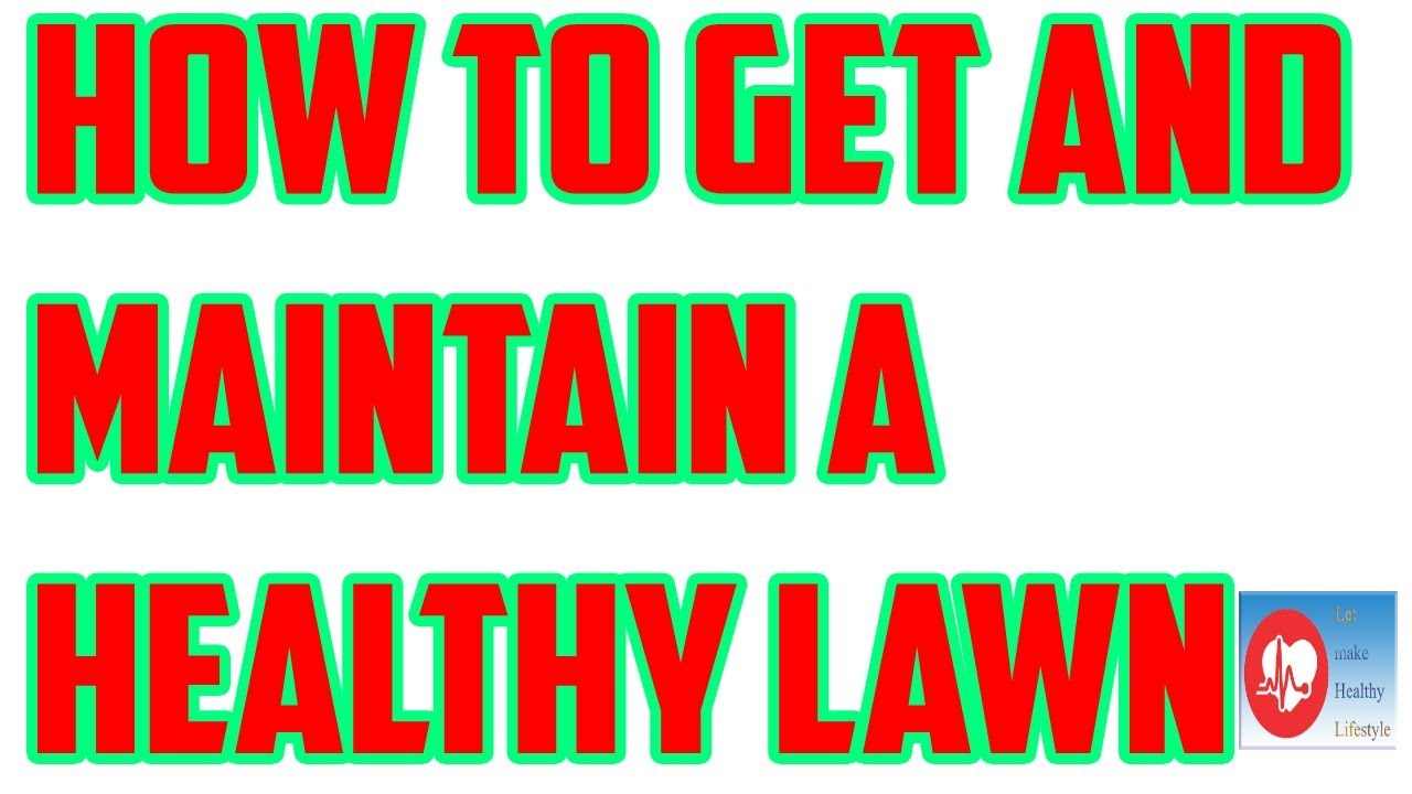 How to Get and Maintain a Healthy Lawn | Let make Healthy Lifestyle ...