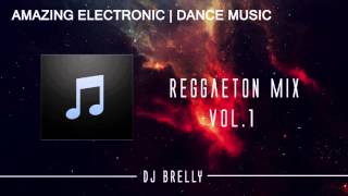 Reggaeton Mix | VOL.1 | DJ Brelly