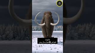 صدای جانواران منقرض شده??فکتعجایبدانستنیفارسیفانمرموزگیمچالشایلومیناتیفیلمحقیقت