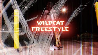 Chris Raxx + Wildcat Freestyle Pt.1(Official Visual 2020) SHOT BY @JCV FILMS
