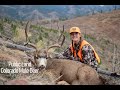 2020 3rd Season Rifle | Colorado Mule Deer Hunt | Public Land