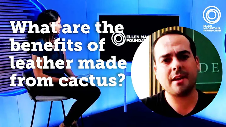 What are the benefits of leather made from cactus? | The Circular Economy Show