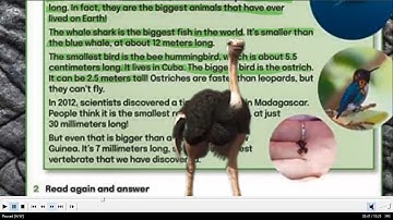 Connect plus 4 unit 2 lesson 2