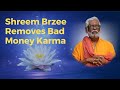 Shreem brzee removes bad money karma