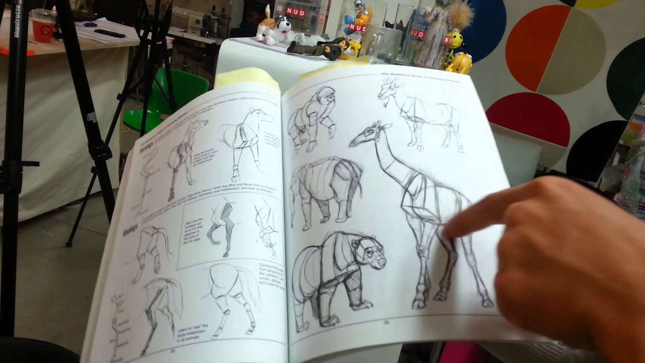 How to Draw for Kids. More Than 100 Pages of How to Draw Animals with Step-by-Step Instructions. Creative Exercises for Little Hands with Big Imaginations (Drawing Books Age 8-12) [Book]