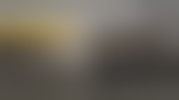 Cannabis Sorting Machine with Auto Feeder