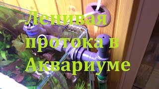 Ленивая протока в аквариуме