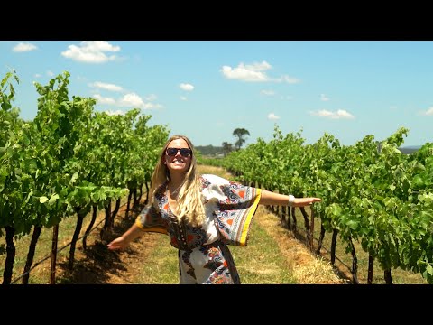 24 Hours in the HUNTER VALLEY - Australia Wine Region