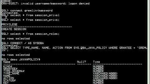 Black Hat DC 2010: Hacking Oracle 11g 2/5
