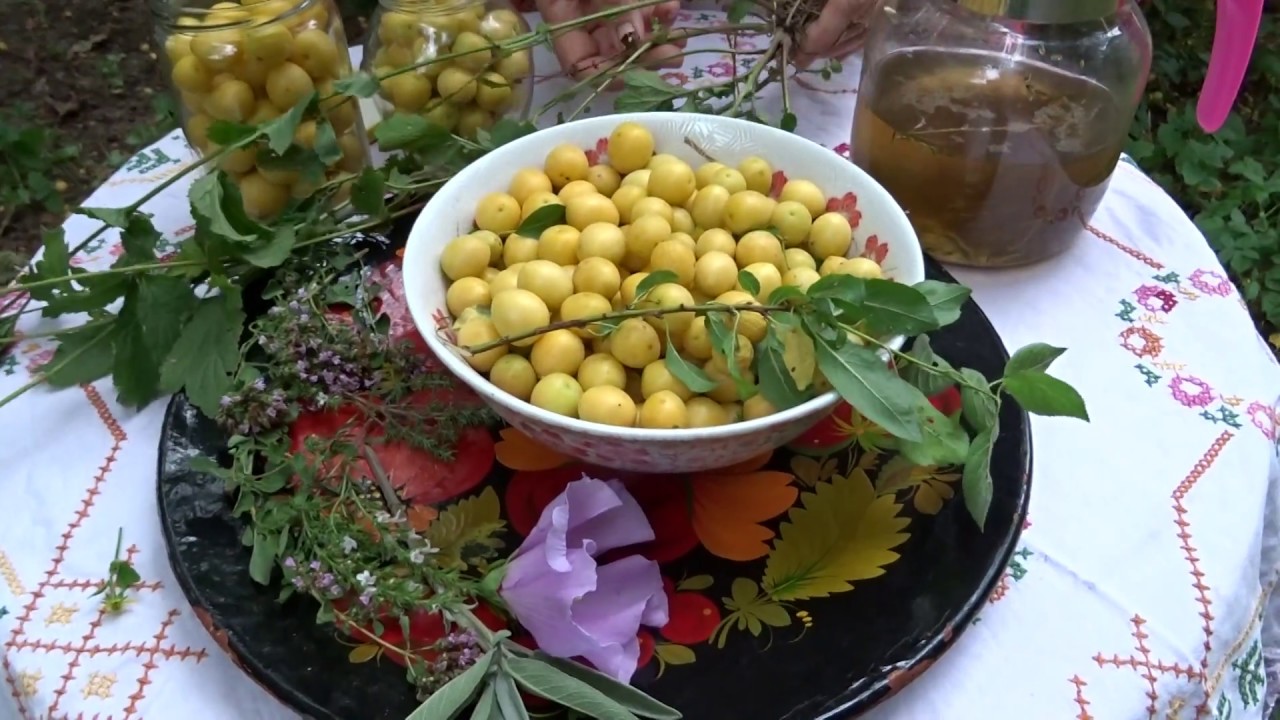 Oliven aus Kirschpflaumen Teil1