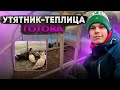 Впечатление от Перепелов | Семьи уток готовы к Весне ! Праздник первого яйца 🥚 С Новосельем 🏠