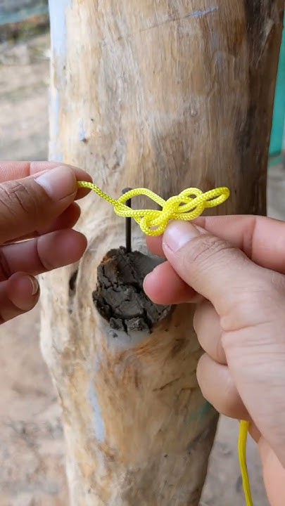 quick tying string line hitch knot/ Tying rope knot 421 - YouTube