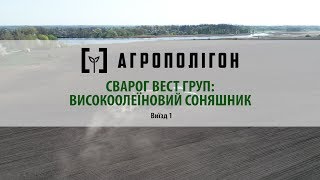 АгроПолігон Сварог: Високоолеїновий соняшник — сівба