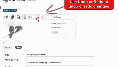 image editor rotate flip undo redo
