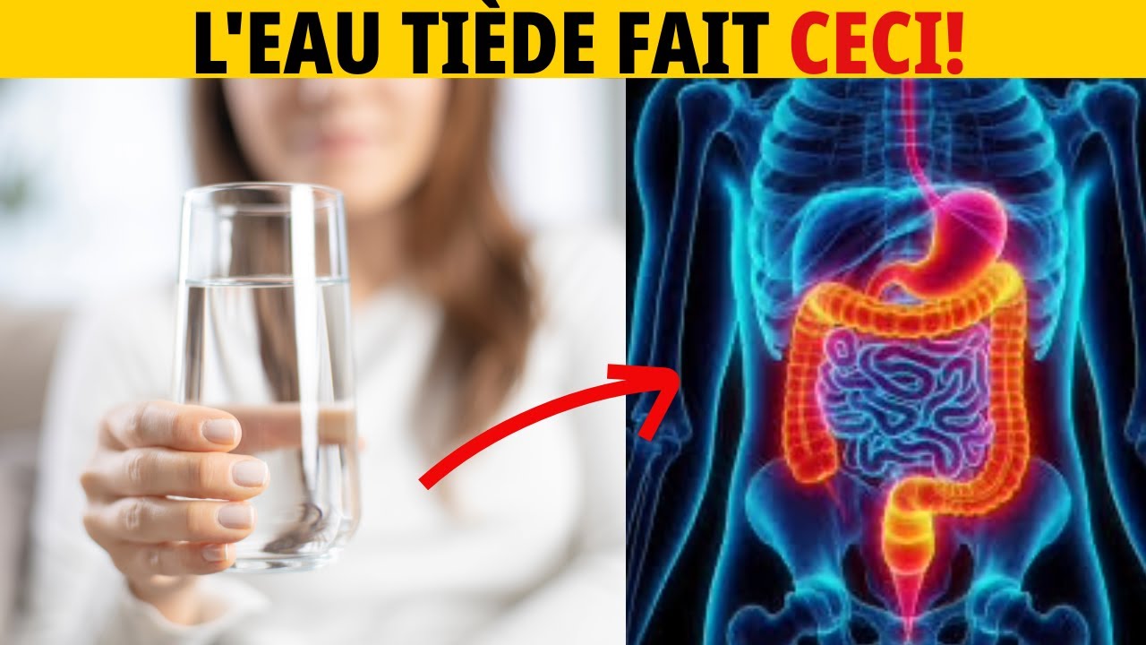 Les Bienfaits de l’Eau Tiède pour la Santé  | Pourquoi Vous Devriez Boire de l’Eau Tiède Chaque Jour