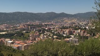 Tizi-ouzou : histoire insolite avec un chauffeur de fourgon-taxi du côté de corbeaux