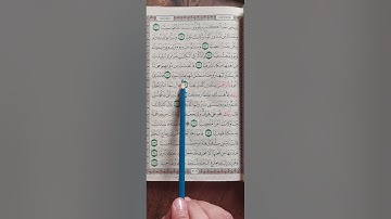 سورة مريم من آية (١٢) إلى آية (٢٥) ص٣٠٦