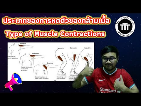 ประเภทของการหดตัวของกล้ามเนื้อ I Basic Kinesiology 1.7 | อาจารย์หยกTheTrainerTeamCRU