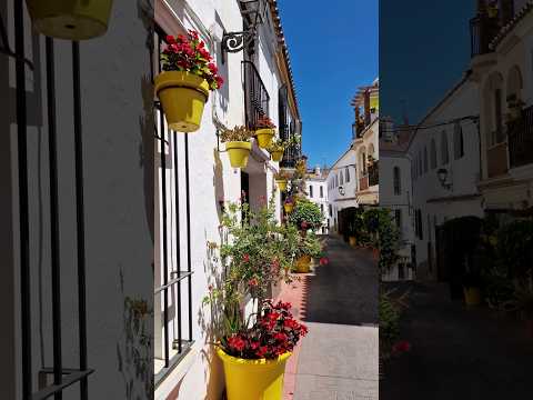 FANTASTIC 😍 Estepona is always a splendid Holiday Destination 🇪🇦🌿🏵 #spain #travel #estepona