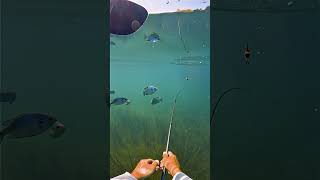First-person POV fishing video, hands holding fishing rod, casting into clear blue water, underwater