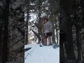 Необычное 🌲 дерево