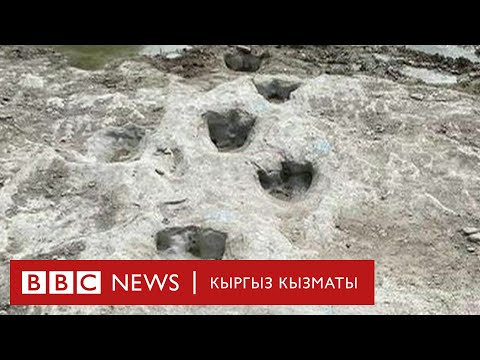 Video: Кайсы динозавр эң чоң chasmosaurinae ceratopsian болгон?