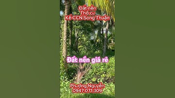 Đất nền có thổ cư đường ôtô kế bên cụm công nghiệp ☎️0947.071.309#videoshorts #shortvideo