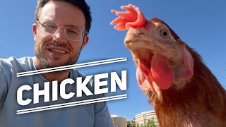 Mutually Beneficial Chicken Retirement