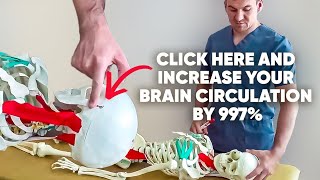 This point increases blood supply to the brain by 997%. by Doctor Alekseev 20,540 views 9 days ago 15 minutes