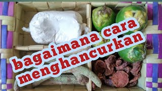 Makan Sirih-Pinang || Tradisi Orang Nusa Tenggara Timur
