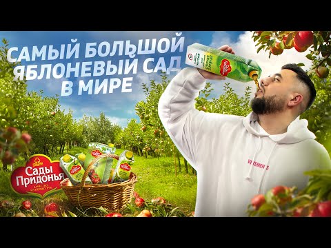 Сады Придонья - самое большое производство соков в России. Миллиарды на соках. Яблоневые сады