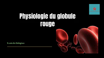 Est-ce que les globules rouges ont un noyau ?