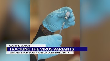 Tracking the virus variants