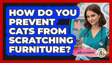 How Do You Prevent Cats From Scratching Furniture? - Happy Cat Handbook