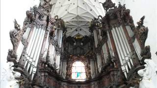 Koncert organowy w Katedrze Oliwskiej (Organ concert in the Oliwa Cathedral)