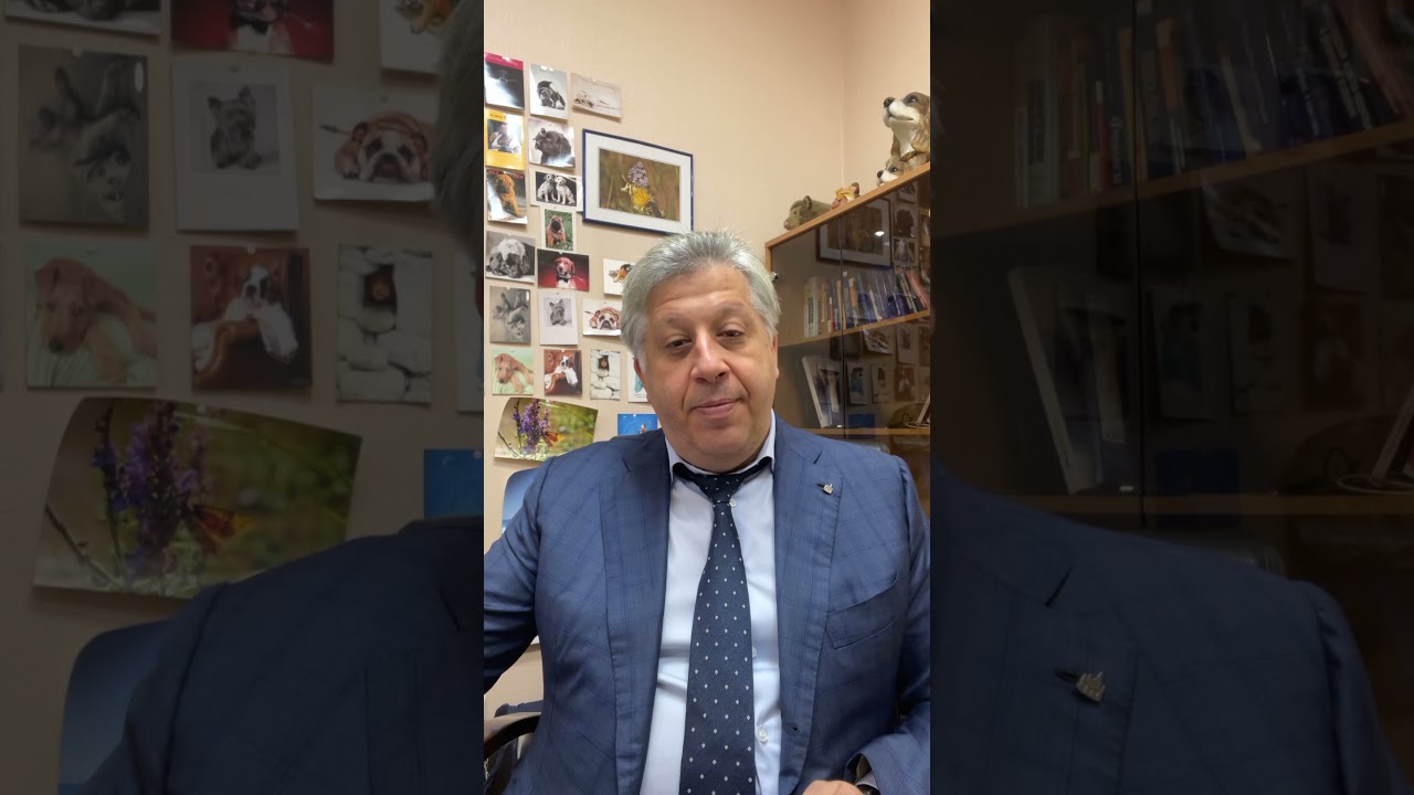 (По тундре, по железной дороге) Юридическая Компания «Амбер» с ...