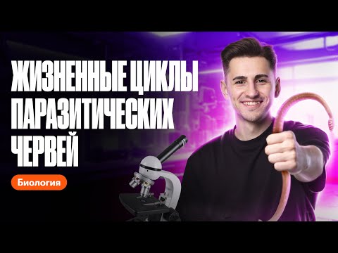 Жизненные циклы паразитических червей | ОГЭ по биологии | 100балльный