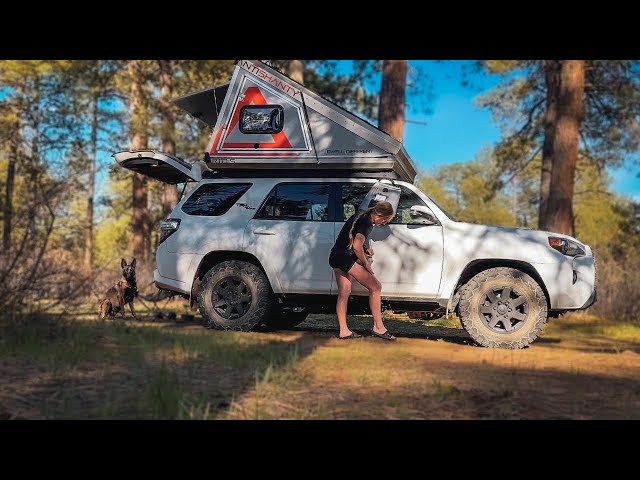 National Forest 4Runner Camping with my Malinois (a new favorite spot!) class=