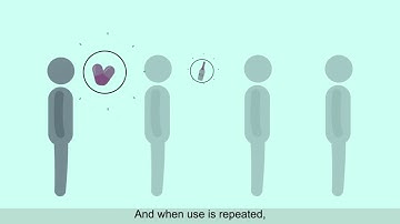 Addiction & the Brain: Pre-Frontal Cortex