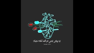 حالات واتساب | القران الكريم بصوت الشيخ سلمان العتيبي