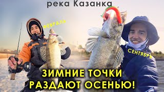 Проверил зимние точки, а там тучи судаков! Казанка.