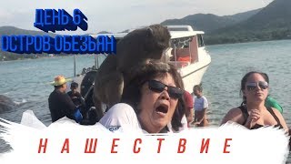 Остров обезьян в Тайланде!!!Кафе-безлимит с русской кухней, Централ Фестиваль!!! Остров обезьян в Тайланде!!!Кафе-безлимит с русской кухней, Централ Фестиваль!!!