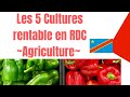 💕LES 5 CULTURES RENTABLE EN RDC💕💜 ||  AGRICULTURE | BUSINESS PROFITABLE