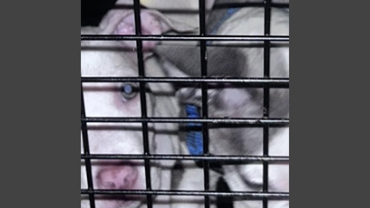 Spooky adlı videoyu YouTube'da izle Spooky adlı videoyu YouTube'da izle