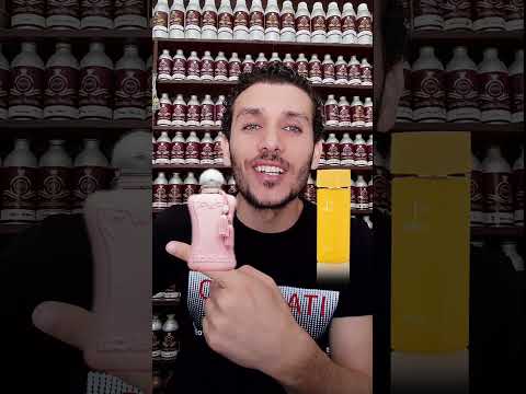 اسرار العربية للعود عمرو جلال  اكسبلور