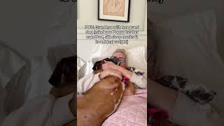 Grandma living in an alternate universe at this point 🤣🤣 #doglover #boxerdog #souldog #dogmom #...