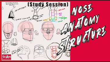 How to Draw the Nose: Placement, Structure & Anatomy breakdown