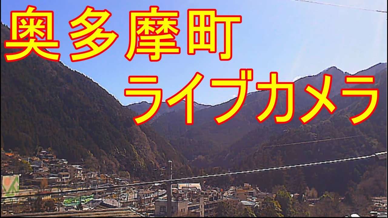 奥多摩 紅葉 ライブ カメラ