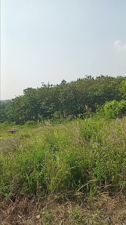 di atas bukit yang indah