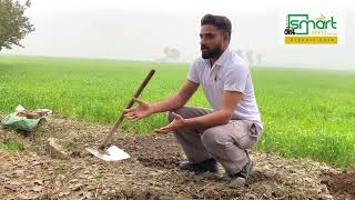 Land Preparation for Organic Farming Part 2